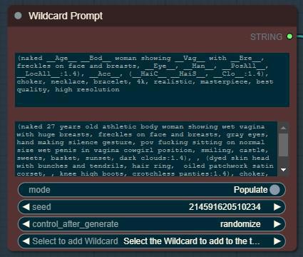 ComfyUI Wildcard Pack v2.84