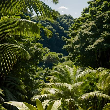 summer jungle, Flirty Celtic Tweezers, horizon-centered, Excessivism, 800mm lens