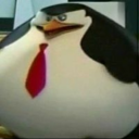 rrwwws's Avatar