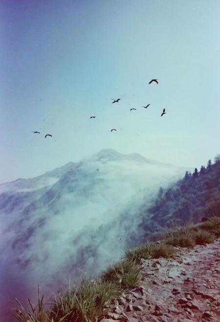 soaked_mundwasser, instagramphoto, a foggy mountain somewhere in europe with some birds in the sky, soft shadows, filmgrain