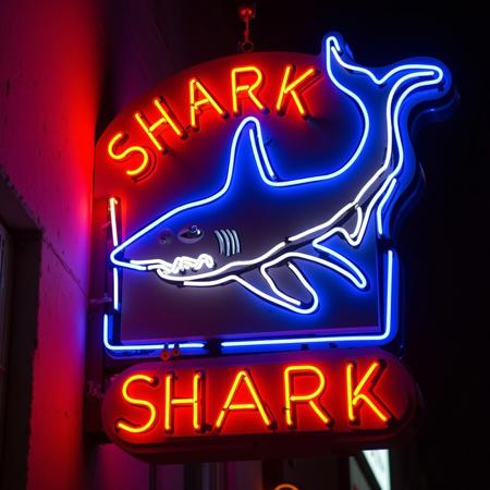 Vintage Neon Signs V1