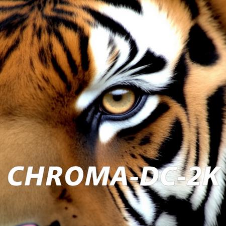 Chroma-Flash-Heun-pruned Rank 04