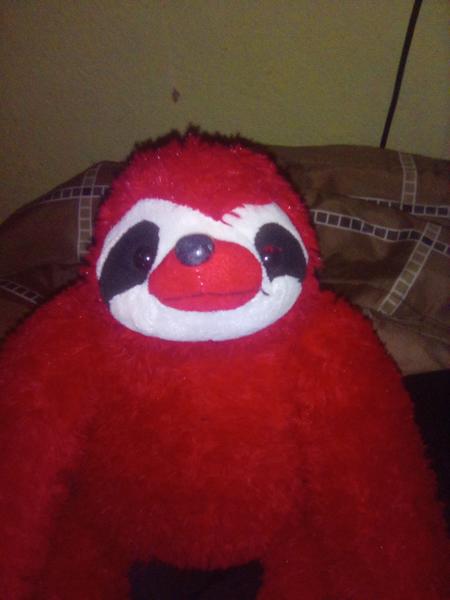 Mrredsloth2211's Avatar