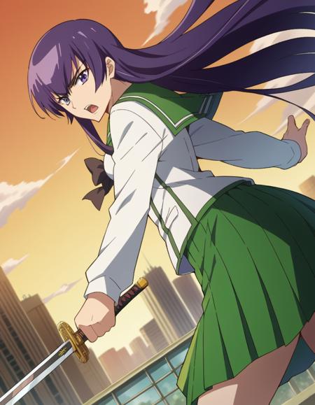 Saeko Busujima (毒島 冴子) - Highschool of the Dead (学園黙示録 