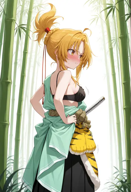Oda Nobuna (Oda Nobuna No Yabou) XL