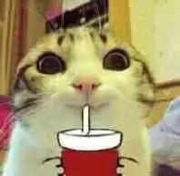 9O99's Avatar
