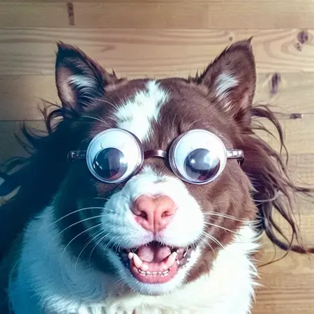 Googly Eyes and Stuff.