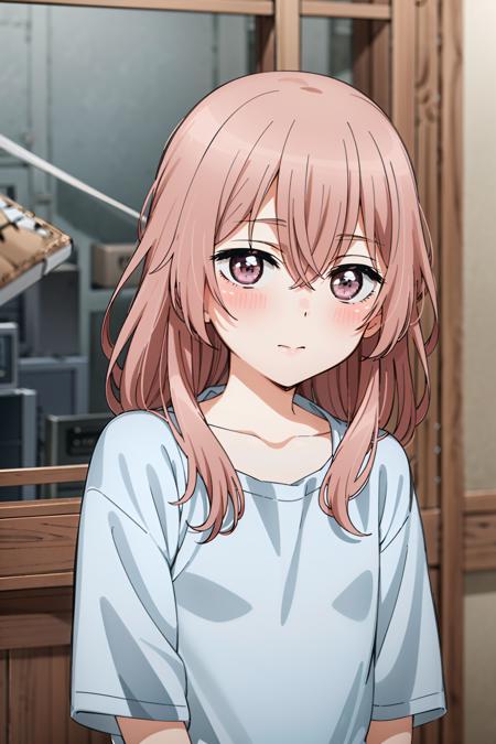 best quality, (masterpiece:1.2), detailed,
<lora:chara_SonoBisqueDoll_InuiSajuna_v1:0.8>, inui sajuna juju,
1girl, solo, closed mouth, blush,
pink hair, pink eyes, long hair, collarbone,
white shirt, upper body,
looking at the viewer,
indoors, room