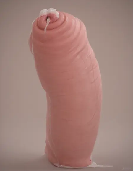 Hyper Foreskin PonyXL