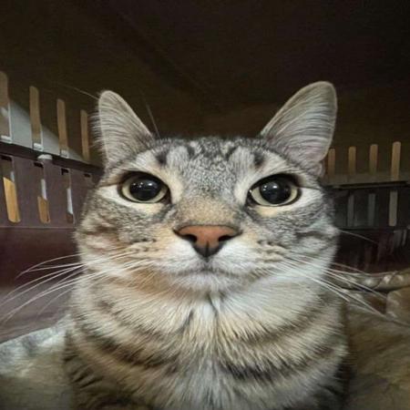 fatPudge's Avatar