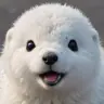 Patan77's Avatar