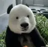 tombombz's Avatar