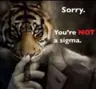 Sigma_Tiger_Investor's Avatar