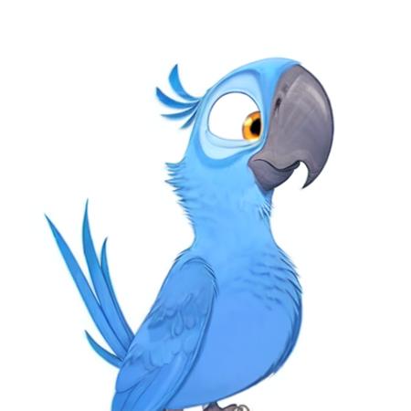 Blu spix macaw male blue feathers