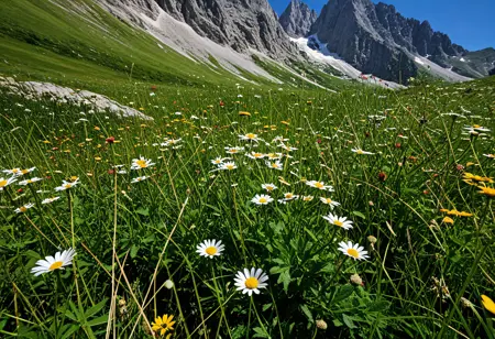 TheHolySheep – SDXL Landscapes (Europe Grand Collection v1.0)