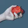 QGL's Avatar