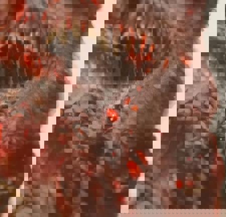 SaltyStarSpawn's Avatar