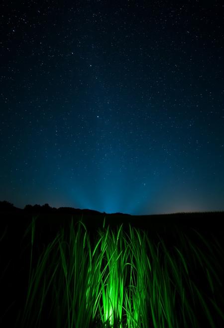 a meadow by starry night with a fluorescent green light emerging from grass far away in the middle of the grass