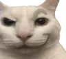 wwwes's Avatar