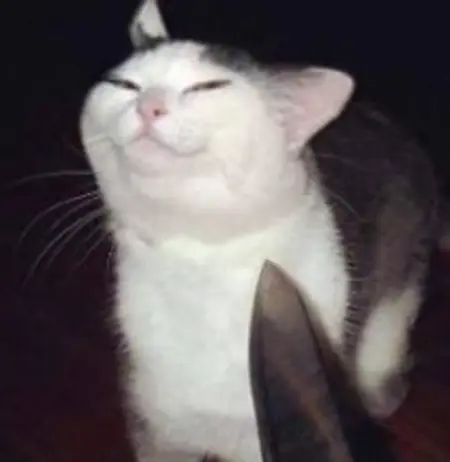 Citrusjuice's Avatar