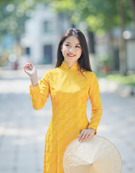 Flux_lora_aodai_v11_Vietnamese_RC Hoang v1.0