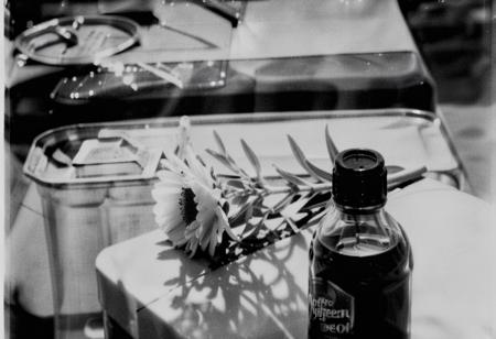 KB_coffeenol,  instagram photo,a bottle with a flower, hard shadows, film grain