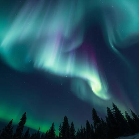Ultra-realistic, breathtaking night sky, swirling northern lights, shades of green, purple, and blue.  glowing aurora borealis, sharply detailed, mesmerizing night sky, photography, flattering lighting, professional, engaging, compelling composition, winter, snow, Coniferous trees,