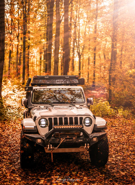 jeep-forest-4.jpg