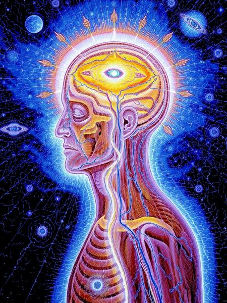Alex Grey Style v1.0