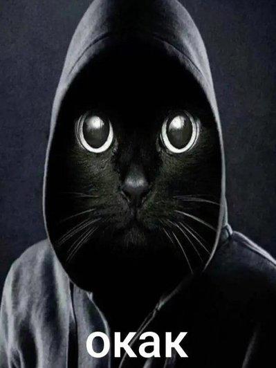 Sesbian_Lex's Avatar