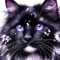 ACatNamedCosmic's Avatar