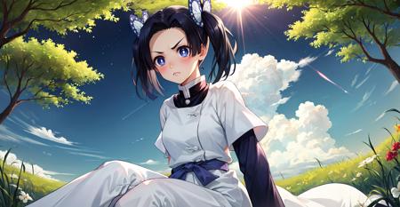 masterpiece, best quality, highres,
AoiDef, 1girl, solo, breasts, blush, short hair, bangs, blue eyes, black hair, hair ornament, twintails, v-shaped eyebrows, parted bangs, frown, bright pupils, white pupils, butterfly hair ornament, kanzaki aoi \(kimetsu no yaiba\),
long sleeves, dress, white dress, jacket, short sleeves, white dress, layered sleeves, short over long sleeves, purple pants, demon slayer uniform, kimetsu no yaiba,
sitting, leaning back, arms behind back, outdoors, forest, field, night, night sky, starry sky, horizon, sunset, <lora:LoRA_Aoi:1>