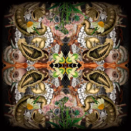 amuletum
