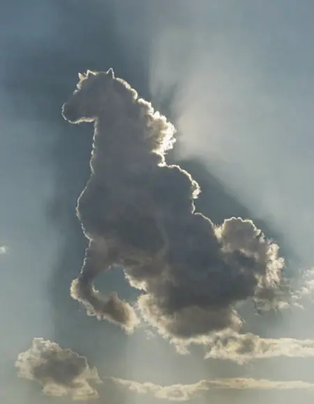 Clouds Shapes