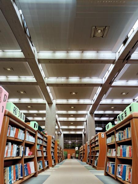 masterpiece, best quality, ultra-detailed, illustration,
NCT2, bookshelf, book, scenery, shelf, ceiling, window, library, night, ceiling light, 
 <lora:NishinomiyaChuouTosyokan:1>