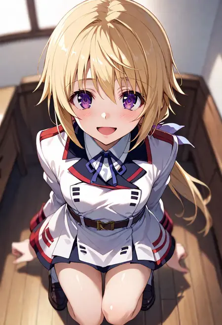 charlotte dunois シャルロットデュノア infinite stratos