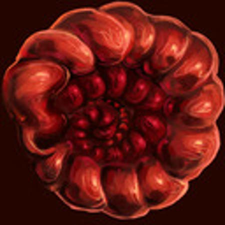 RedSlug_'s Avatar