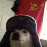 jorgezombie78's Avatar