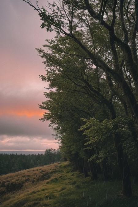 raw photo, a sunset landscape, Valdivian temperate forests, Chilean forest,  cozy, photorealistic, high detailed texture, 8k uhd, dslr, soft lighting, high quality, film grain, Fujifilm XT3, Sony A7 IV, highly detailed photography, (muted colors, cinematic, dim colors, soothing tones:1.2), vibrant, insanely detailed, hyperdetailed, (dark shot:1.2), (vsco:0.3), (intricate details:0.9), (hdr, hyperdetailed:1.2) (highest coherency: 1.39) (highest quality: 1.39) (rule of Thirds) (award winning) (breathtaking) (masterclass) (vibrant color: 0.79) (raining)