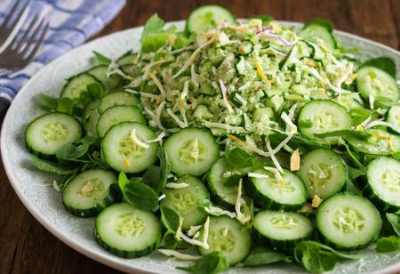((best quality)), ((detailed)), ((masterpiece)), cucumber screams, grated into a salad, <lora:DreamCartXLEP11:0.8>
