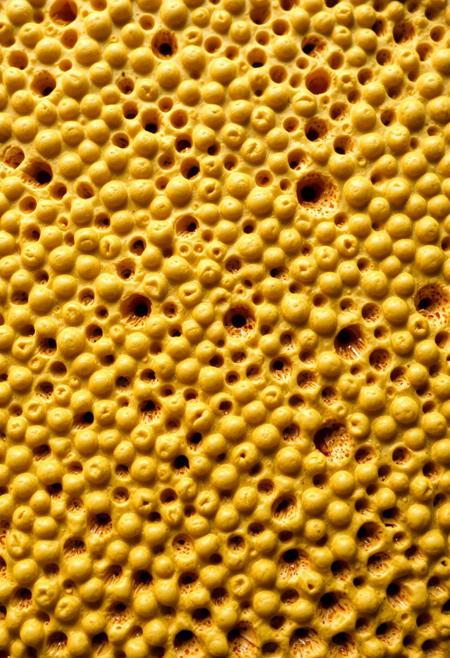 trypophobia, trypophobia, trypophobia, trypophobia, trypophobia, trypophobia, trypophobia, trypophobia, trypophobia, trypophobia, trypophobia, trypophobia, trypophobia, trypophobia, trypophobia, trypophobia, trypophobia, trypophobia, trypophobia, trypophobia, trypophobia, trypophobia, trypophobia, trypophobia, trypophobia, trypophobia, trypophobia, trypophobia, trypophobia, trypophobia, trypophobia, trypophobia, trypophobia, trypophobia, trypophobia, trypophobia, trypophobia, trypophobia, trypophobia, trypophobia, trypophobia, trypophobia, trypophobia, trypophobia, trypophobia, trypophobia, trypophobia, trypophobia, trypophobia, trypophobia, trypophobia, trypophobia, trypophobia, trypophobia, trypophobia, trypophobia, trypophobia, trypophobia, trypophobia, trypophobia, trypophobia, trypophobia, trypophobia, trypophobia, trypophobia, trypophobia, trypophobia, trypophobia, trypophobia, trypophobia, trypophobia, trypophobia, trypophobia, trypophobia, trypophobia, trypophobia, trypophobia, trypophobia,