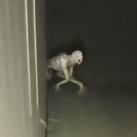 empty shool building at night,cockroach like humanoid creature crawling behind the corner, hyperrealistic <lora:fftage-000001:1>