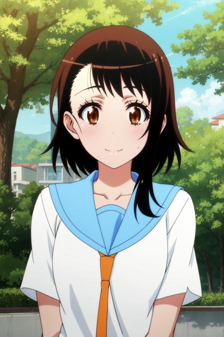 Kosaki Onodera ( Nisekoi / ニセコイ ) Anime Design v1.0