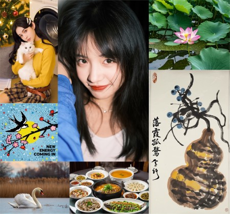 Z Image Base Text Encoder (FP8)