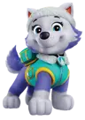 everestpupfan's Avatar