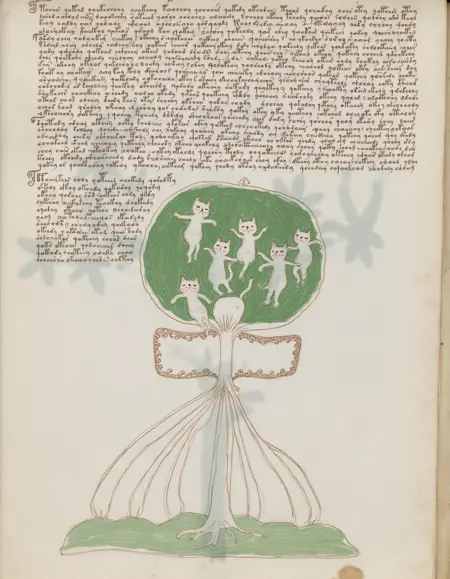 Voynich [Flux.1-D]
