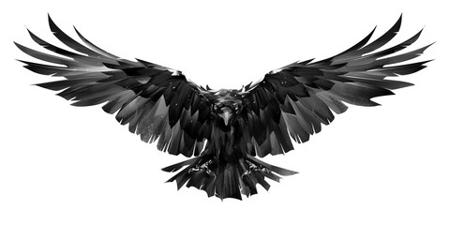 raven976460's Avatar