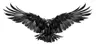 raven976460's Avatar