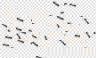 MoreThan5Ants
