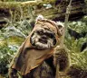 EwokSins's Avatar